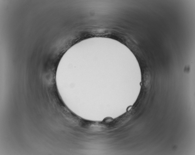X0000113140515200910021443