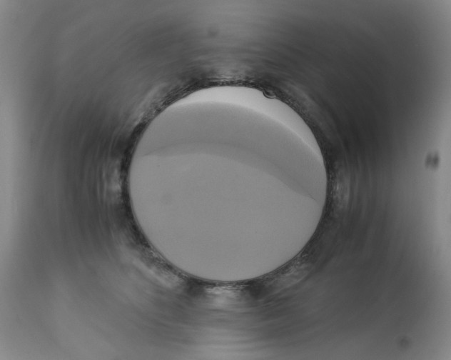 X0000113140516200910021443