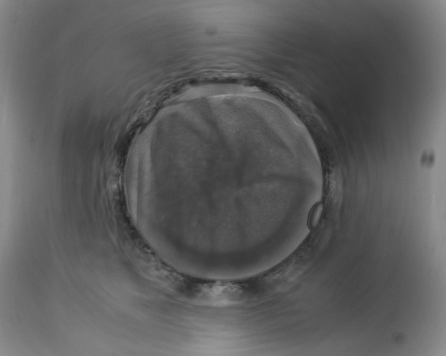 X0000113140517200910021443