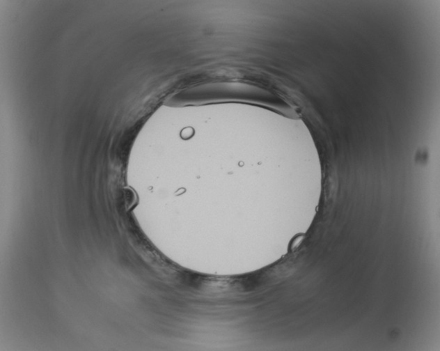 X0000113140521200910021443