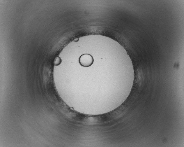 X0000113140522200910021443