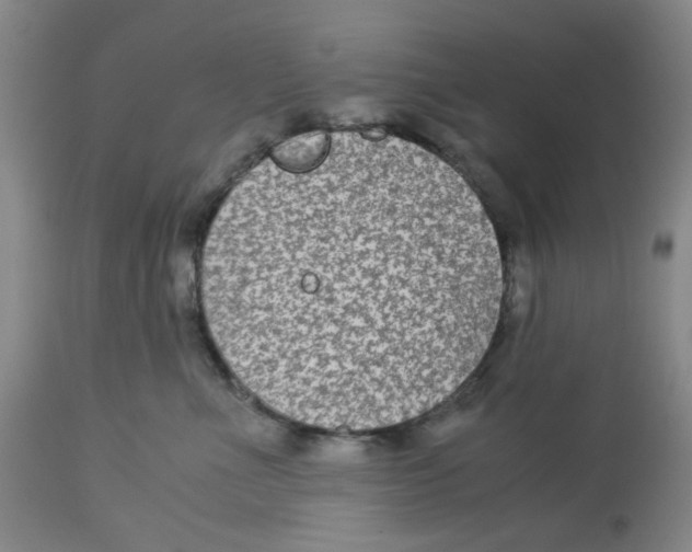 X0000113140523200910021443