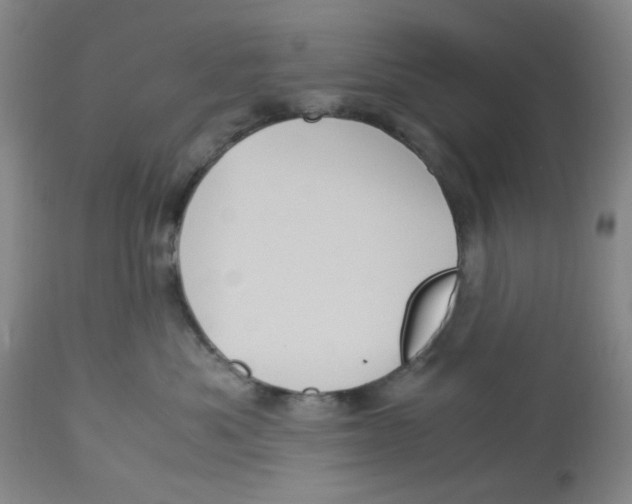 X0000113140525200910021443