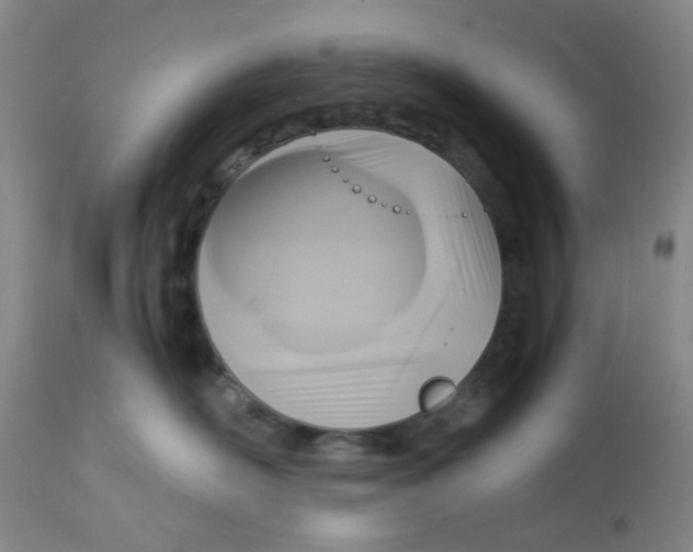 X0000113140526200910021443