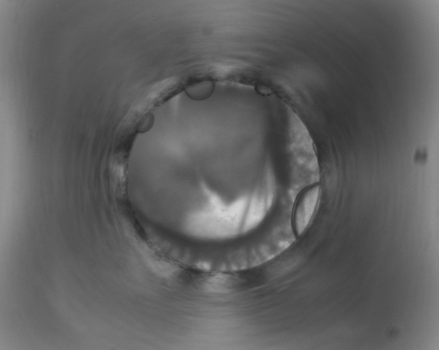 X0000113140527200910021443