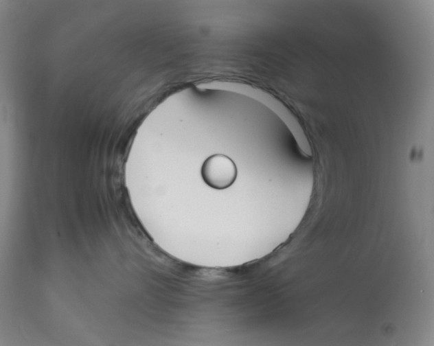 X0000113140528200910021443