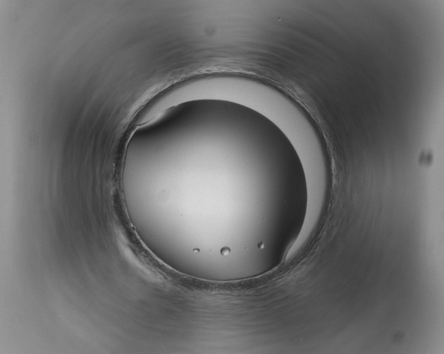 X0000113140530200910021442