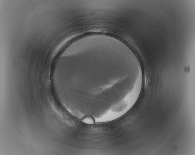 X0000113140531200910021442