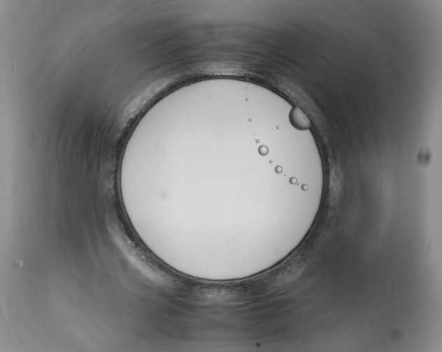 X0000113140533200910021442