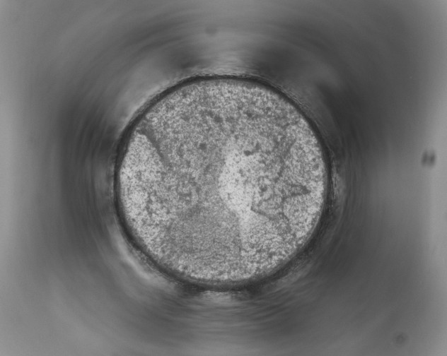 X0000113140534200910021442