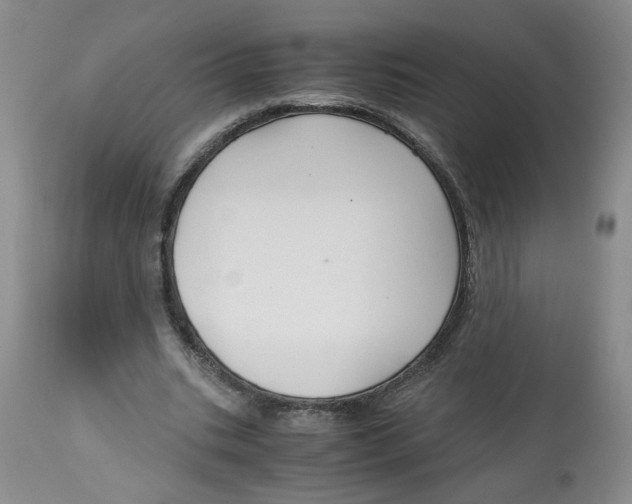 X0000113140535200910021442