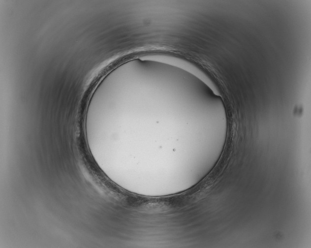 X0000113140536200910021442
