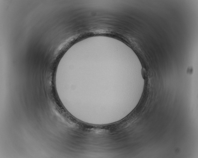 X0000113140539200910021442