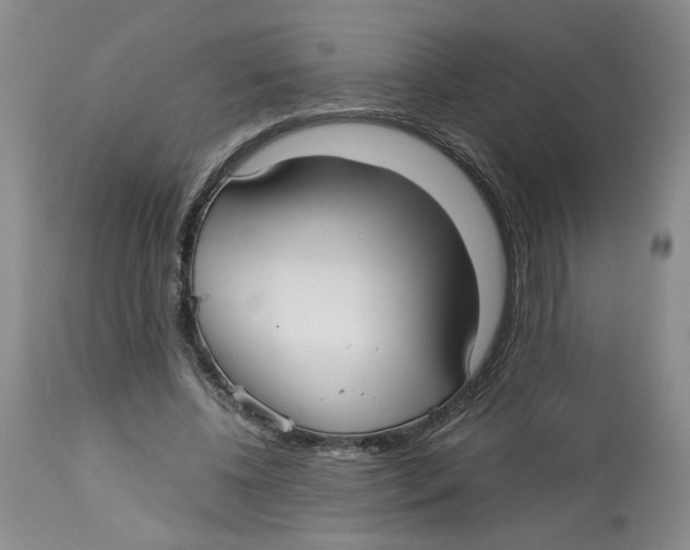 X0000113140540200910021442