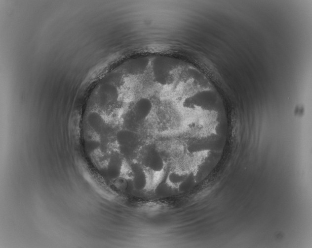 X0000113140542200910021442
