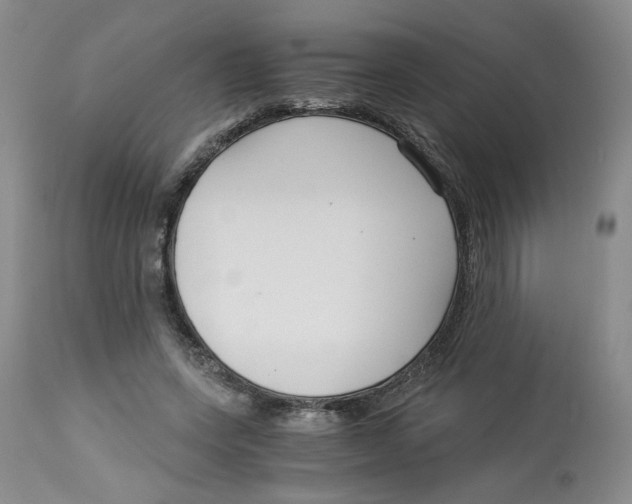 X0000113140543200910021442