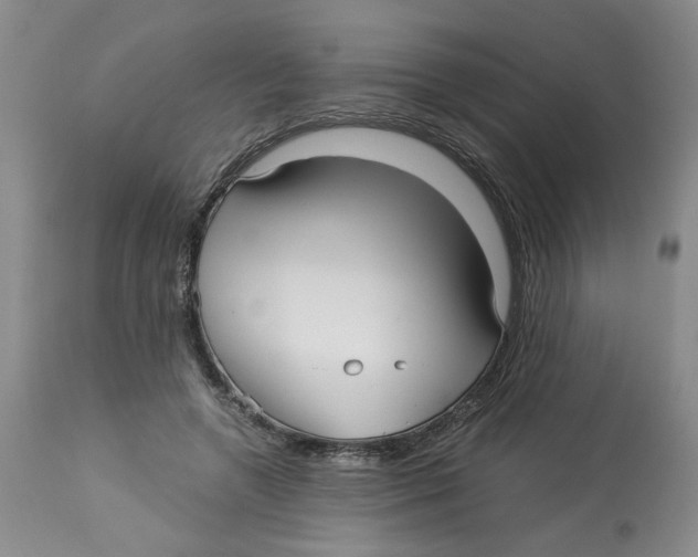 X0000113140546200910021442