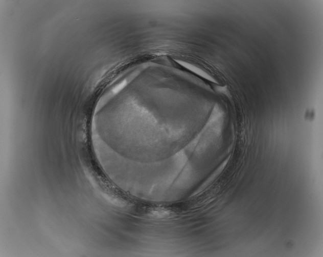 X0000113140547200910021442