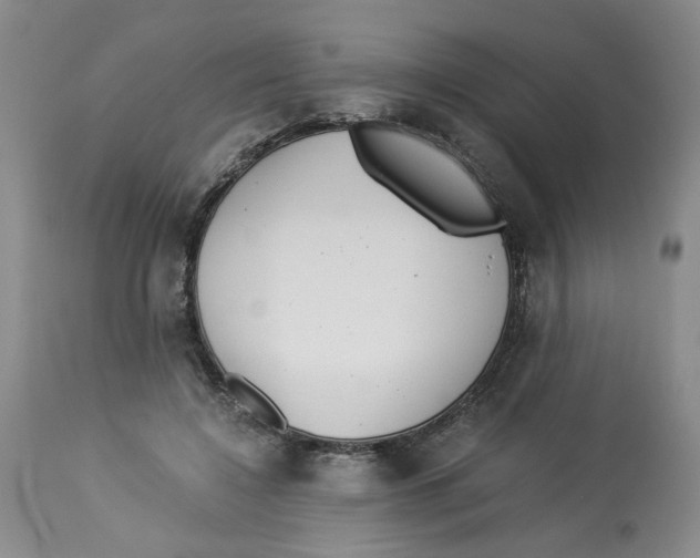 X0000113140548200910021442