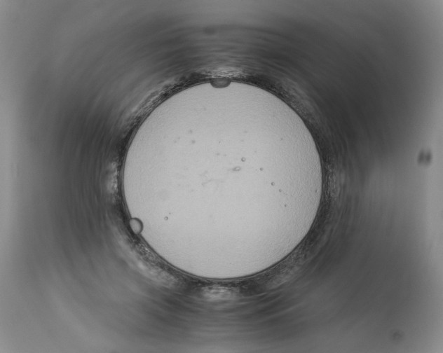 X0000113140549200910021442
