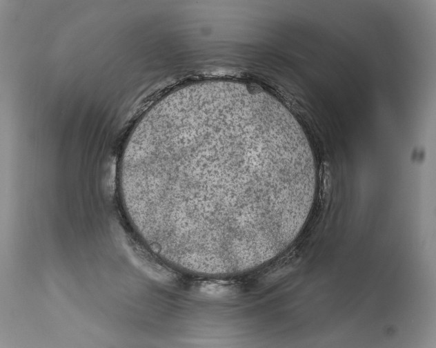 X0000113140550200910021442