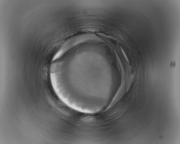 X0000113140551200910021442