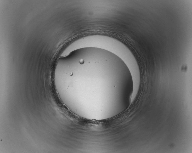X0000113140552200910021442