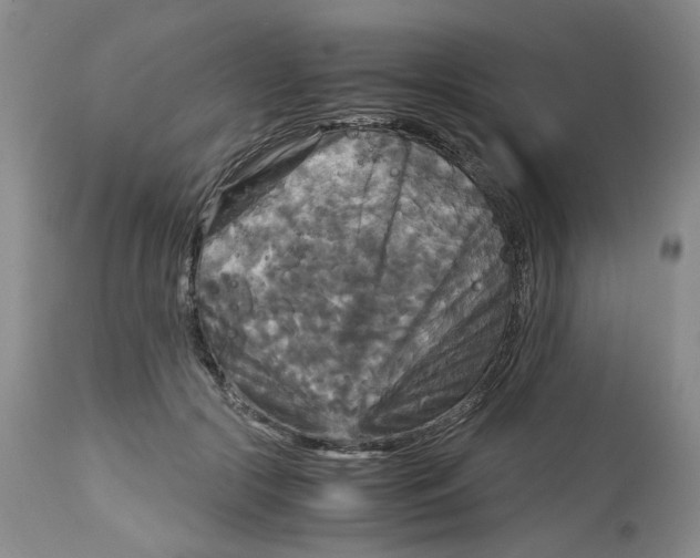X0000113140553200910021442