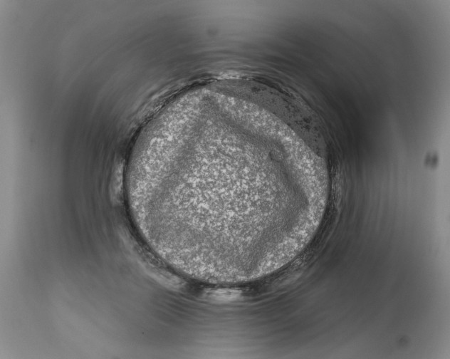 X0000113140554200910021442