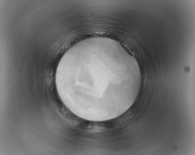 X0000113140559200910021442