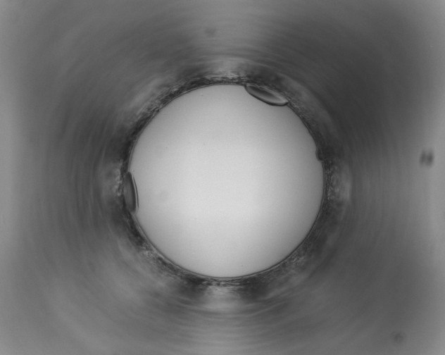 X0000113140560200910021442