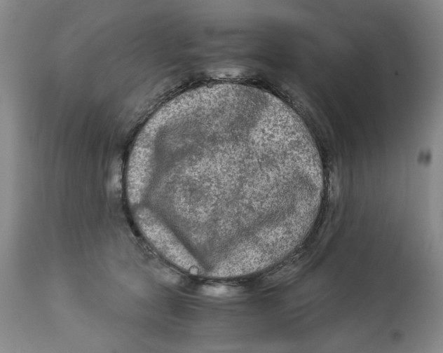X0000113140561200910021442