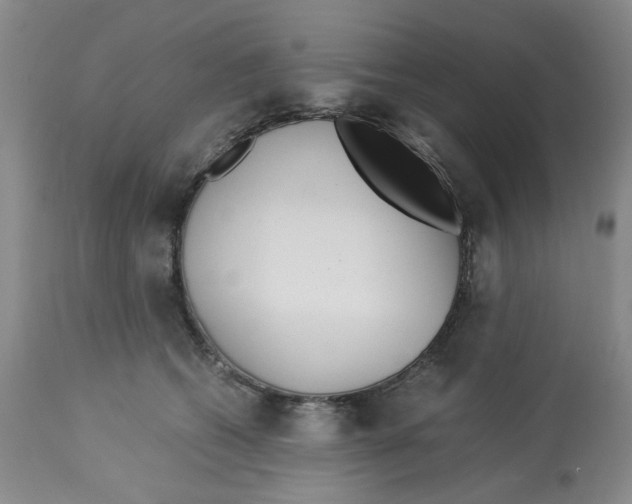 X0000113140562200910021442