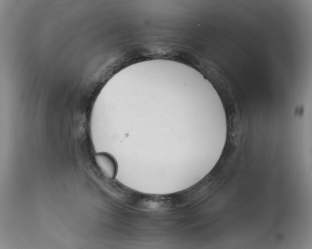X0000113140563200910021442