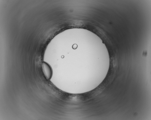 X0000113140564200910021442