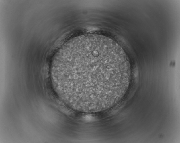 X0000113140565200910021442