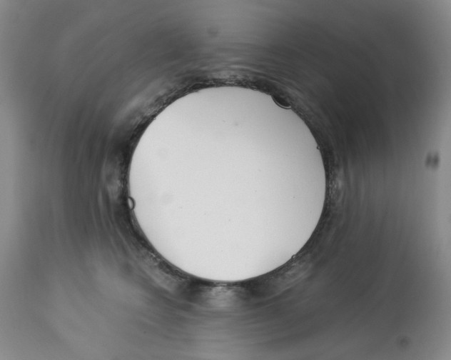X0000113140566200910021442