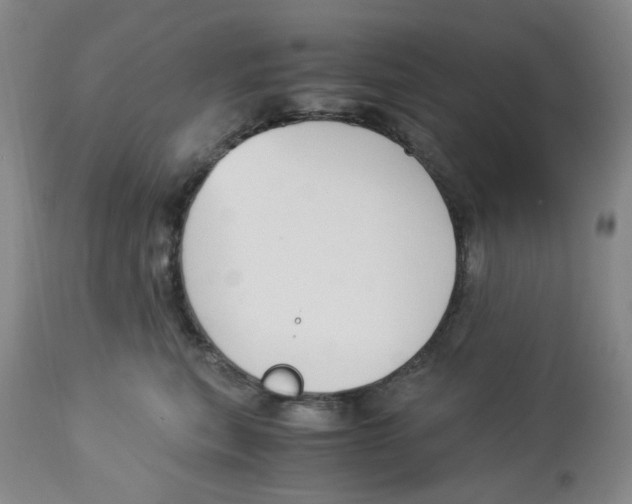 X0000113140567200910021442