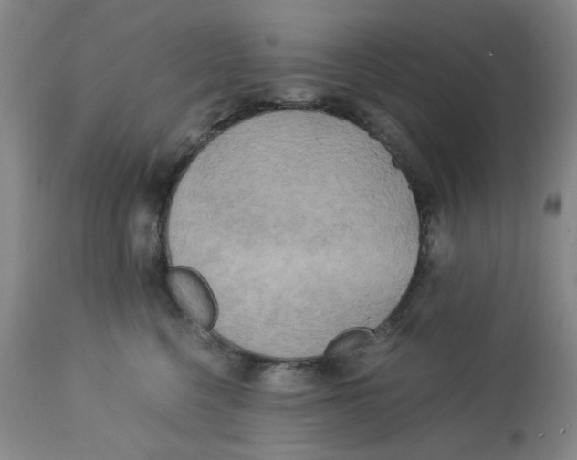 X0000113140568200910021442