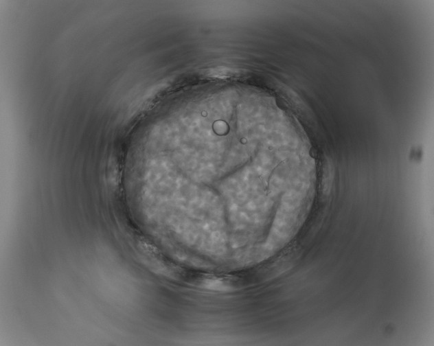 X0000113140569200910021442