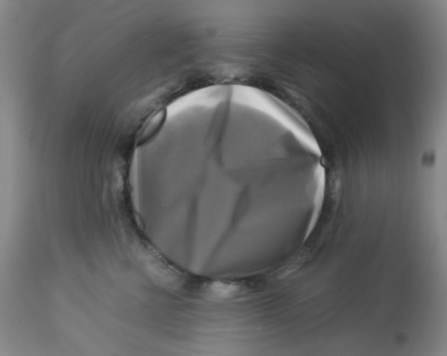 X0000113140570200910021442
