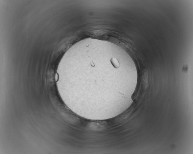 X0000113140571200910021442