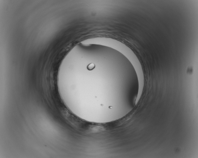 X0000113140572200910021442