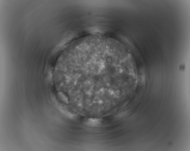 X0000113140573200910021442