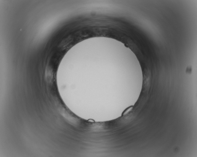 X0000113140574200910021442