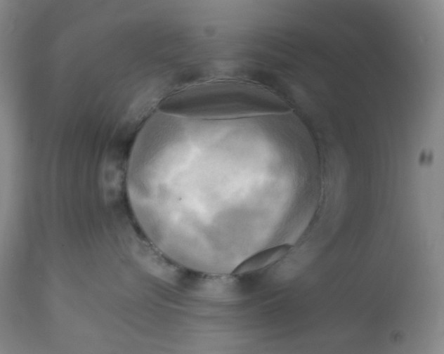 X0000113140576200910021443