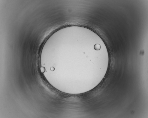 X0000113140578200910021442