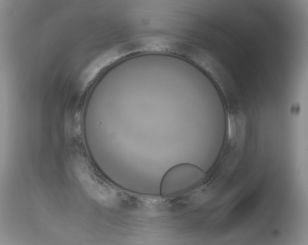 X0000113140579200910021442