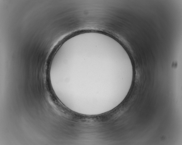 X0000113140580200910021442