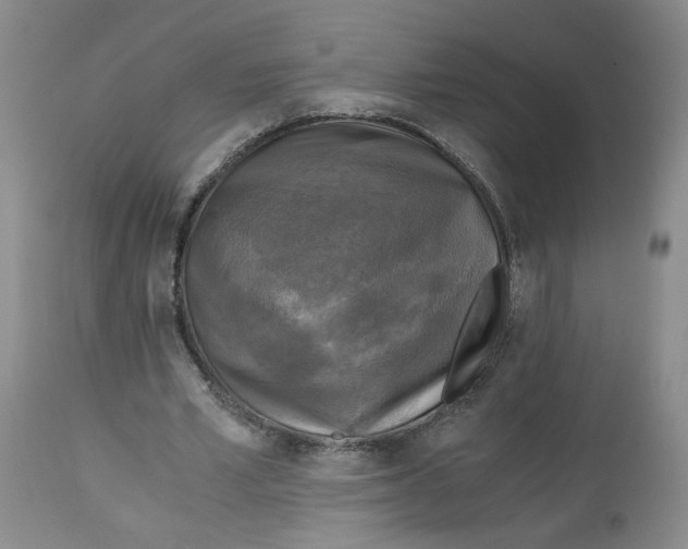 X0000113140581200910021442